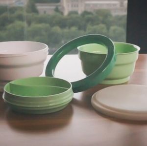 The Bumpit Bowl 2 for $10